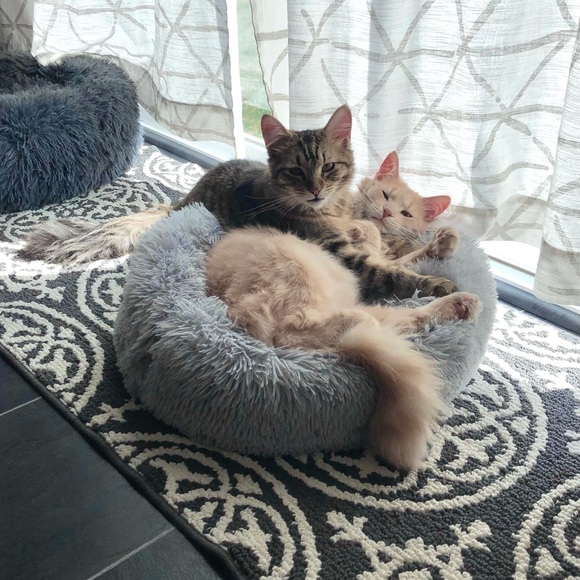 Meet your Posher, Kim - Picture 8 of 15